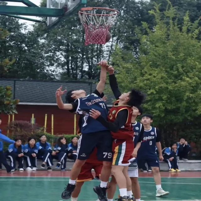 广厦男篮晋级形势分析：前景与挑战并存